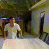 1.gif